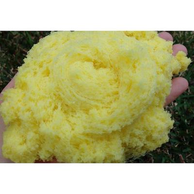 Squish Lab slime